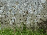 image of grave number 488568